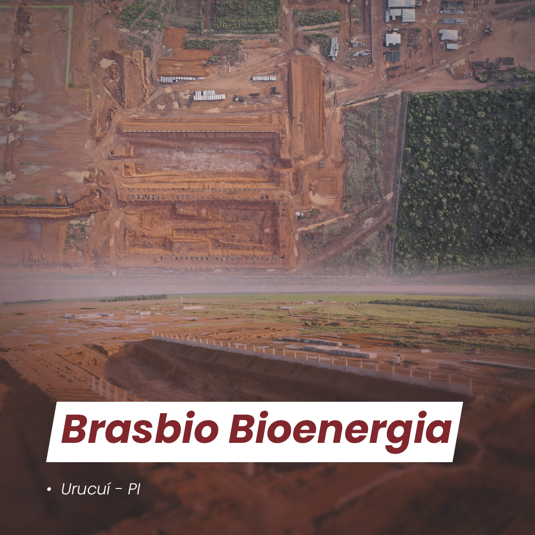 Brasbio - Urucí